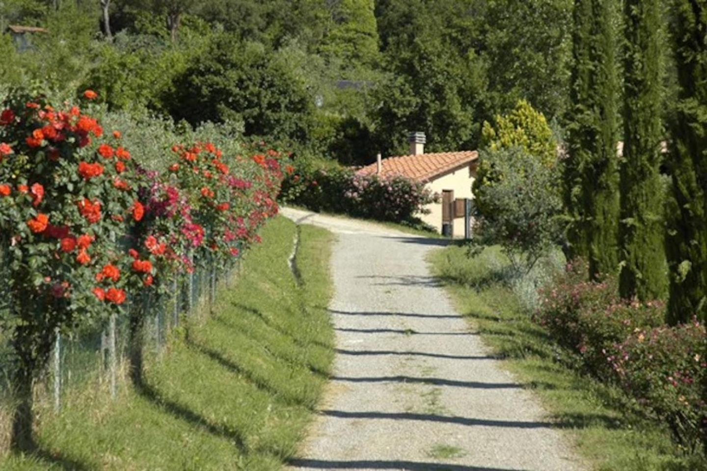 Agriturismo Fattoria Celle ฟิลยีเน วัลดาร์โน ห้อง รูปภาพ